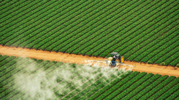 Indications of Pest Infestation